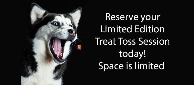 A white husky dog is shown on the left side of the image, from about the chest up.  Her mouth is open and a treat hovers just before her. Text on the right hand side reads "Reserve your limited edition Treat Toss Session today! Space is Limited!